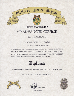 MP_Advanced_Course_Certificate.png (481312 bytes)