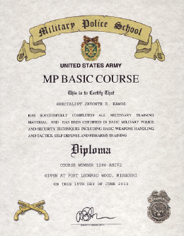 MP_Basic_Course_Certificate.png (480253 bytes)
